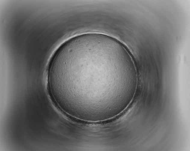 X0000095121511200712211259