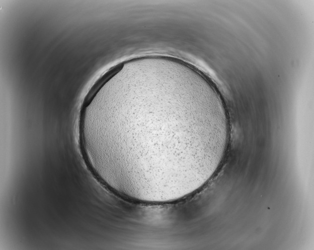 X0000095121512200712211259