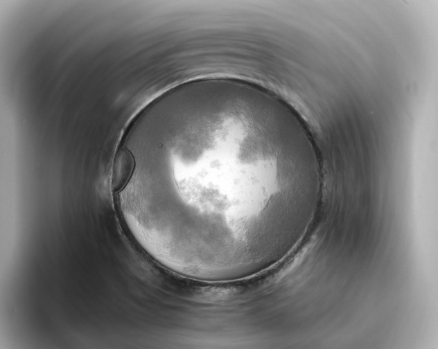 X0000095121513200712211259