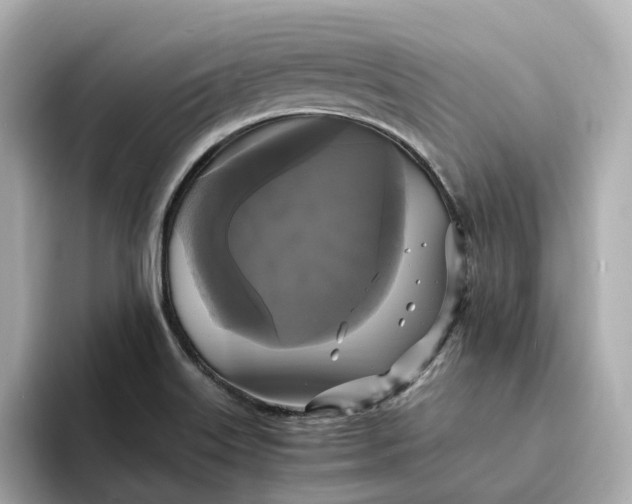 X0000095121515200712211259