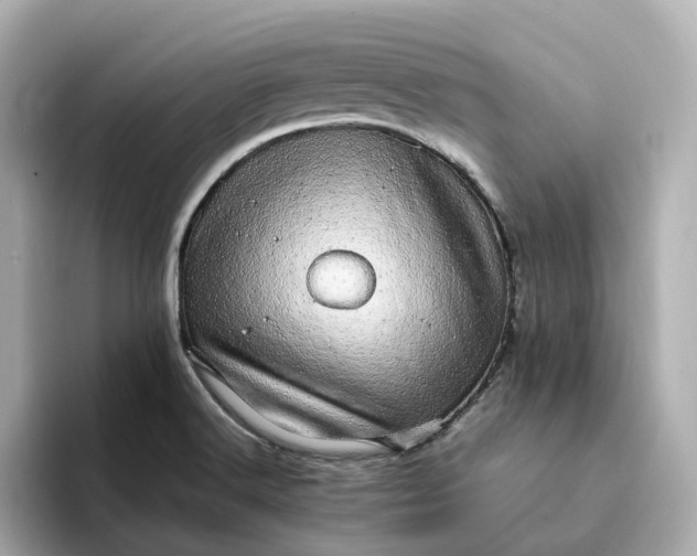 X0000095121516200712211259