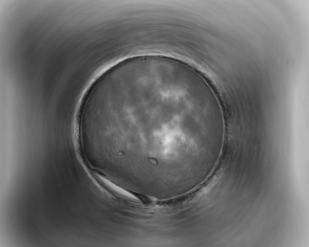 X0000095121517200712211259