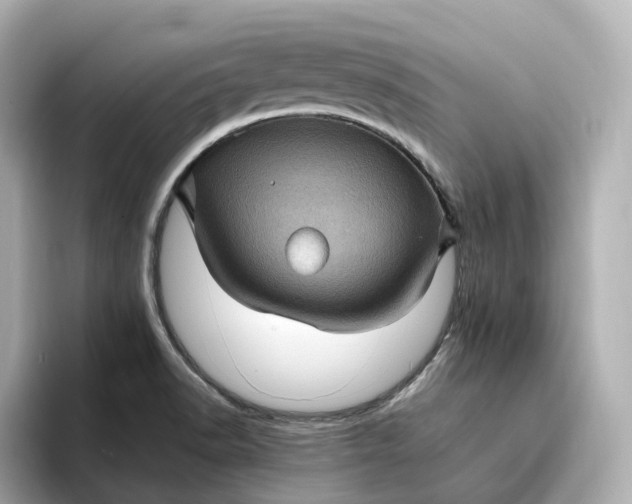 X0000095121518200712211259