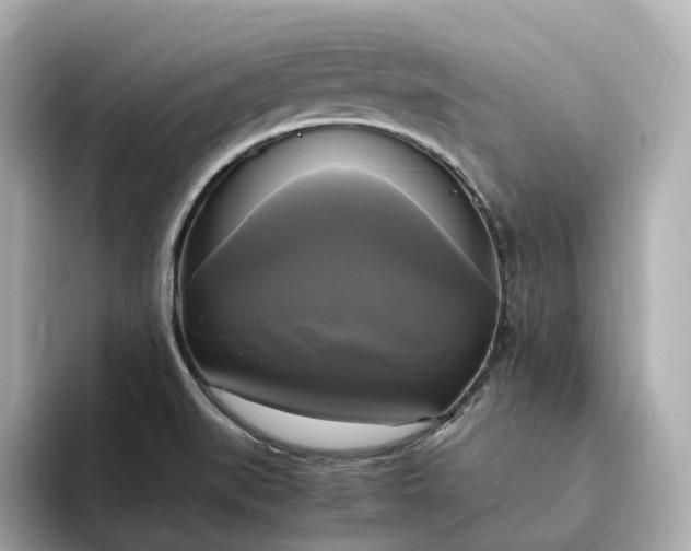 X0000095121519200712211259