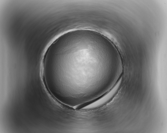 X0000095121520200712211259