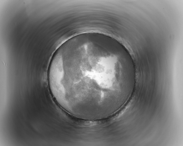 X0000095121521200712211259