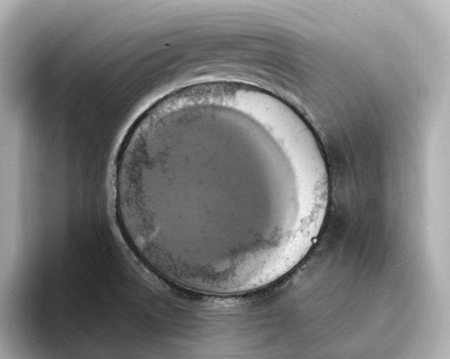 X0000095121522200712211259