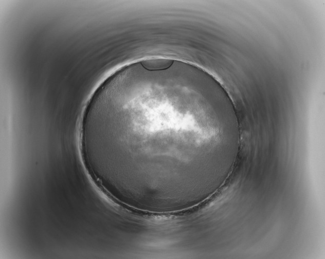 X0000095121523200712211259