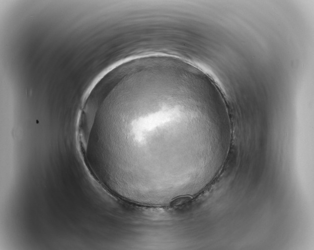 X0000095121524200712211259