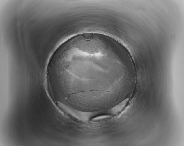 X0000095121525200712211259