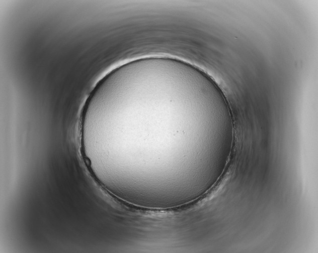 X0000095121526200712211259