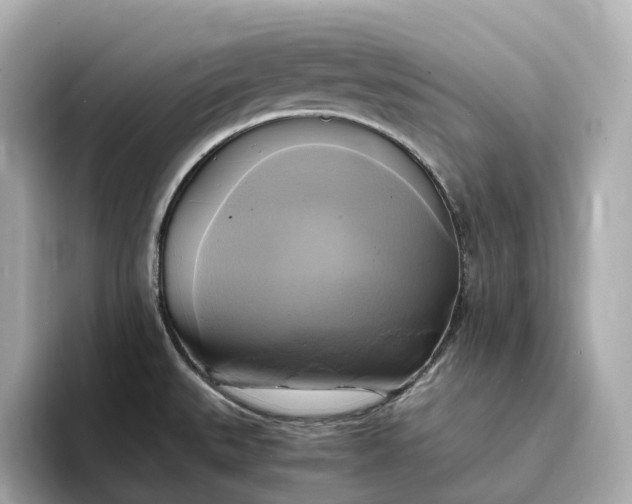 X0000095121527200712211259