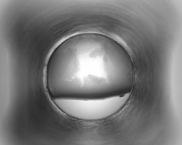 X0000095121528200712211259