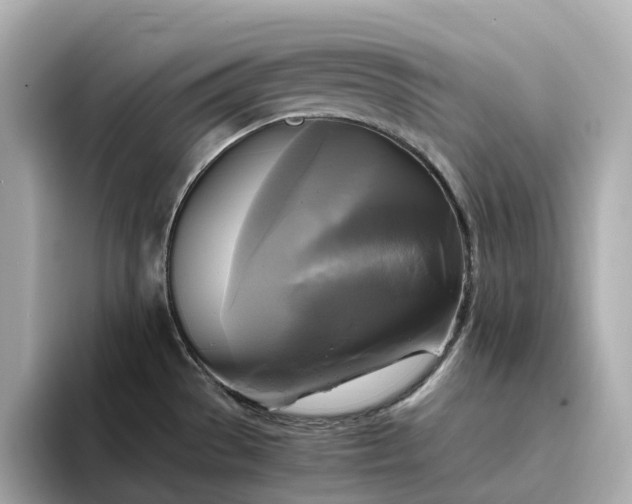 X0000095121529200712211259