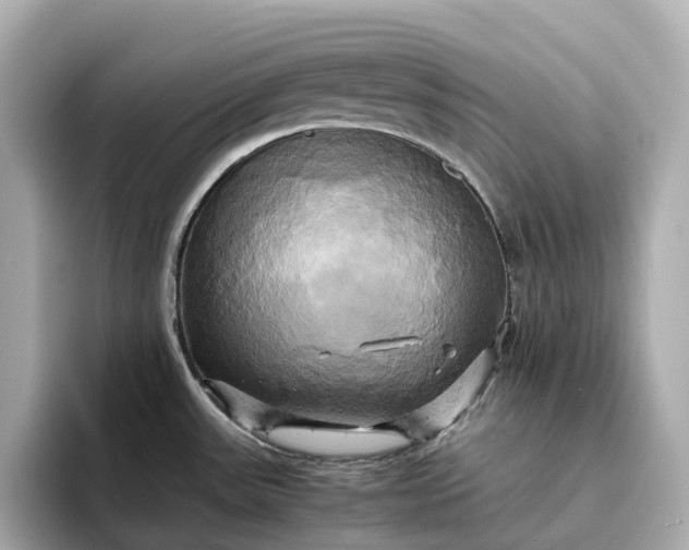 X0000095121531200712211259