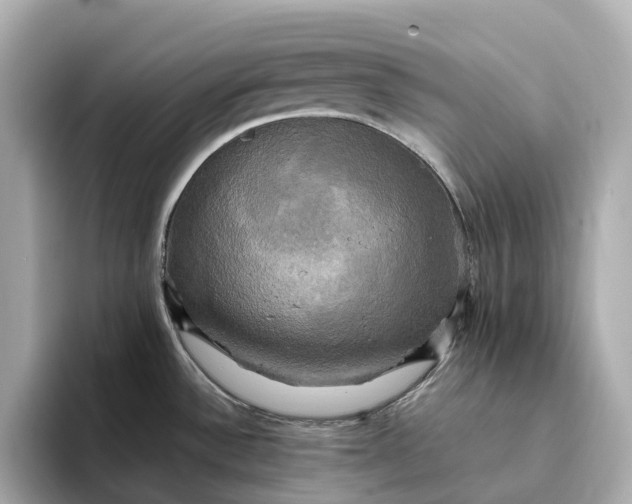 X0000095121532200712211259