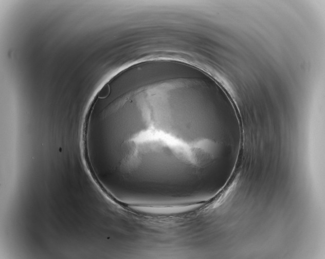 X0000095121533200712211259