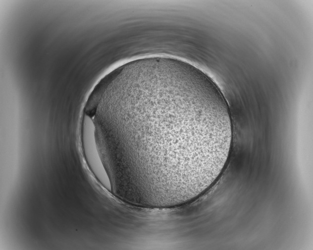 X0000095121534200712211259