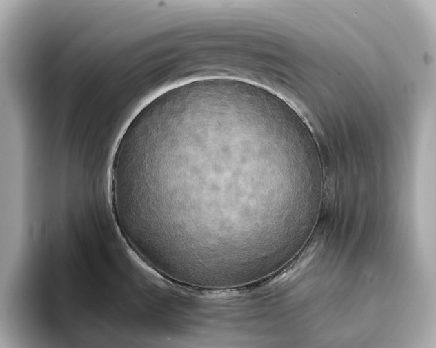 X0000095121535200712211259