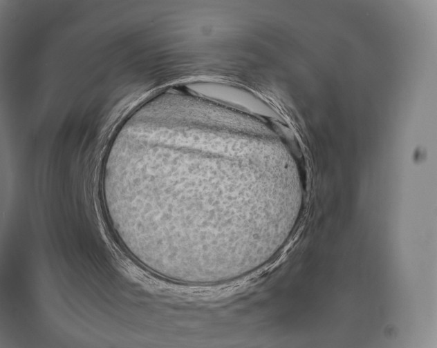 X0000095120001200712301812