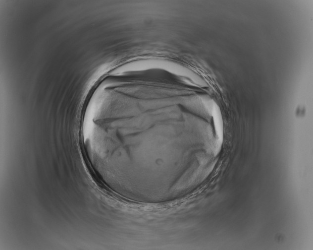 X0000095120003200712301812