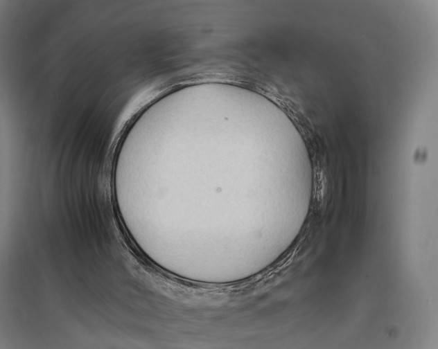 X0000095120004200712301812