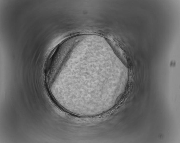 X0000095120005200712301812