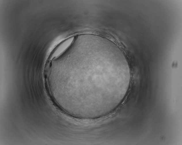 X0000095120006200712301812