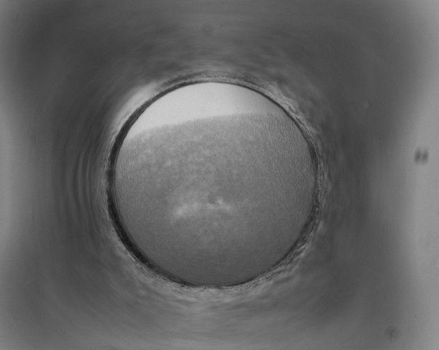 X0000095120007200712301811