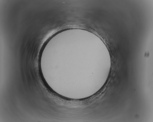 X0000095120008200712301811