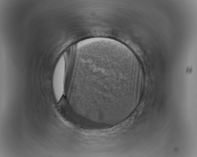 X0000095120009200712301811