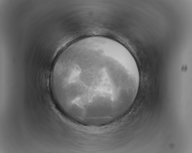 X0000095120010200712301811