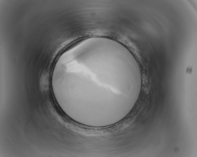 X0000095120012200712301811