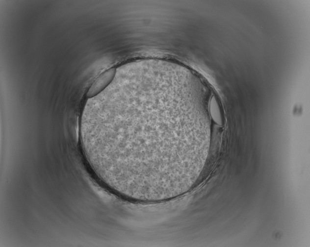 X0000095120013200712301811