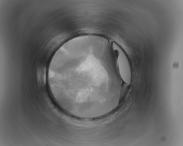 X0000095120014200712301811