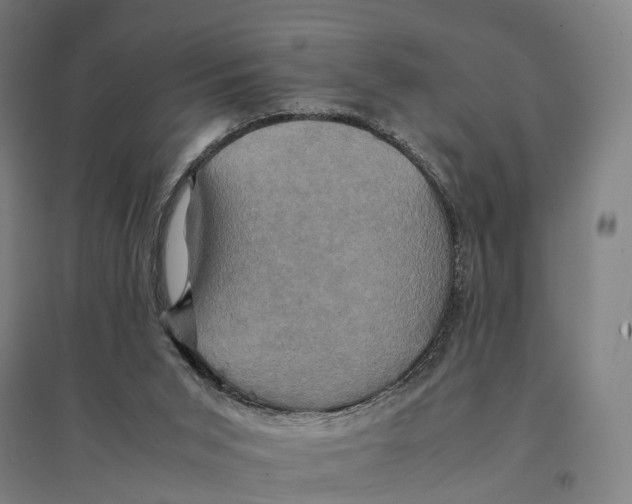 X0000095120015200712301811