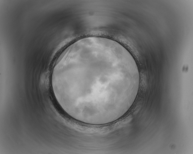 X0000095120016200712301811