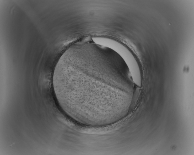 X0000095120017200712301811