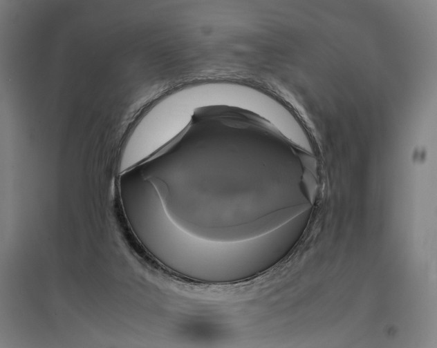 X0000095120019200712301811