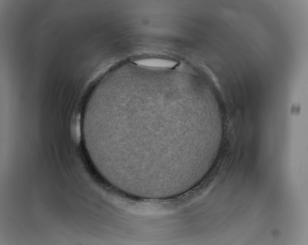 X0000095120020200712301811