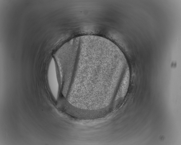 X0000095120021200712301811