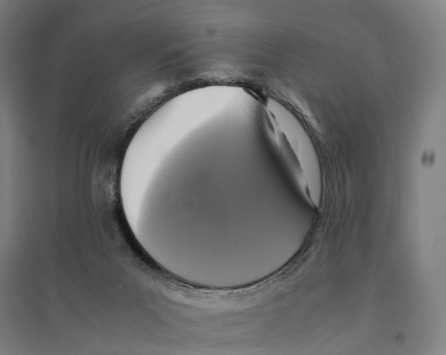 X0000095120023200712301811