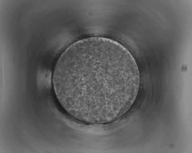 X0000095120024200712301811