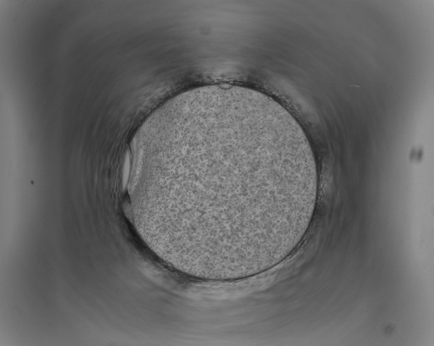 X0000095120025200712301811