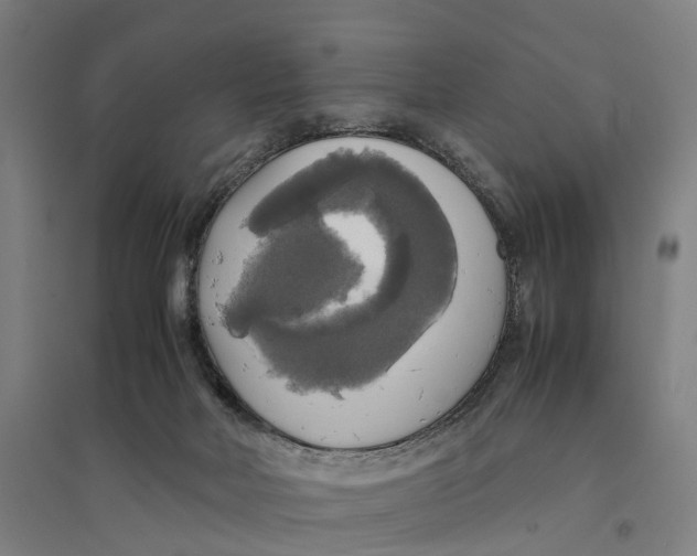 X0000095120026200712301811