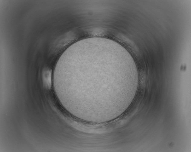 X0000095120028200712301811