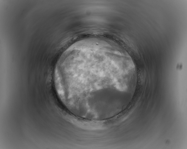 X0000095120032200712301811