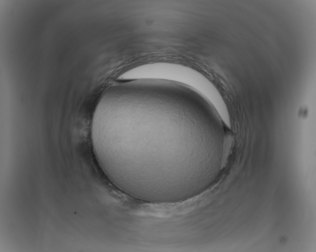 X0000095120033200712301811