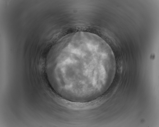 X0000095120034200712301811