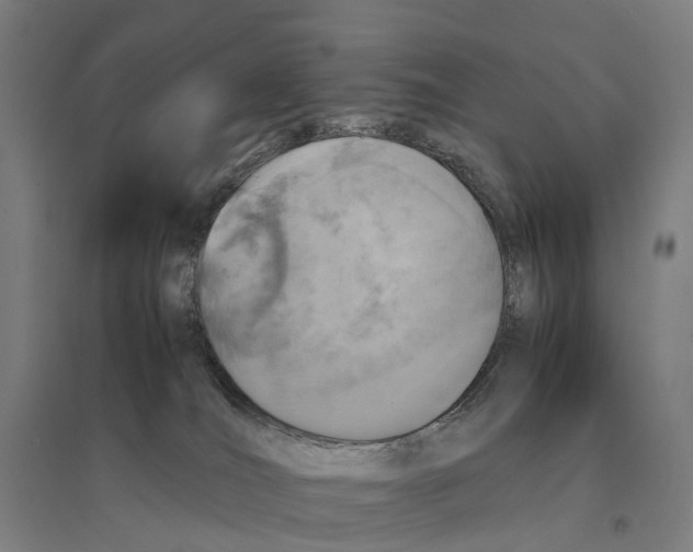 X0000095120036200712301811